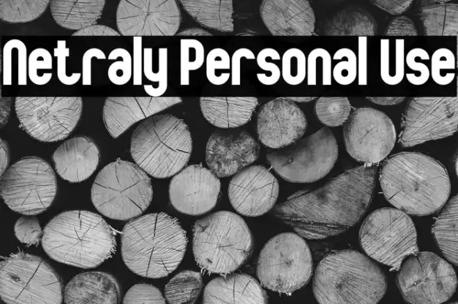 Netraly Personal Use Example 3