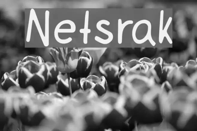 Netsrak Font examples