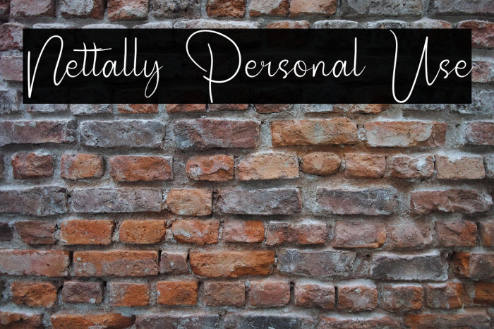 Nettally Personal Use Example 1