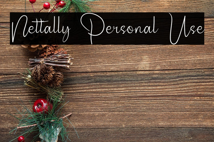 Nettally Personal Use Example 2