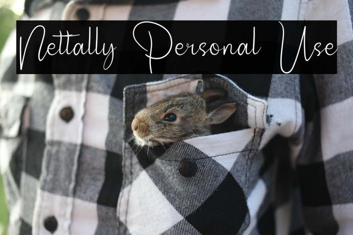 Nettally Personal Use Example 3