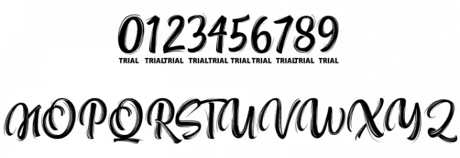 NettizenScript_TRIAL Font OTHER CHARS