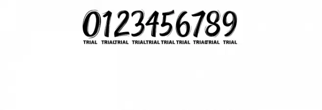 NettizenScript_TRIAL Font OTHER CHARS