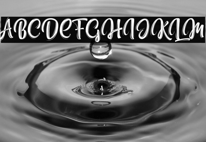 NettizenScript_TRIAL Example 2