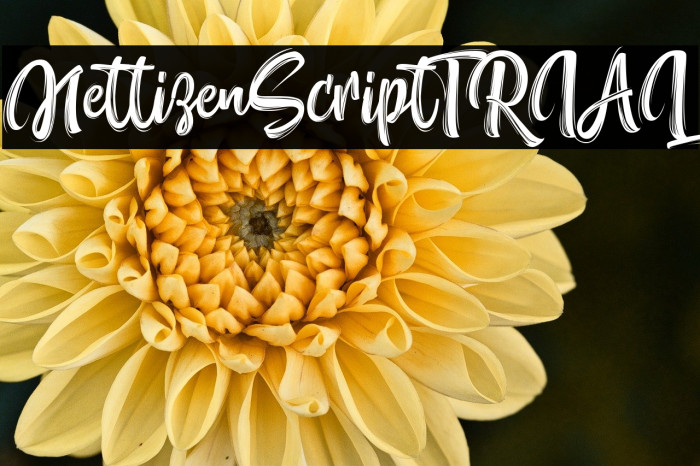 NettizenScript_TRIAL Example 1