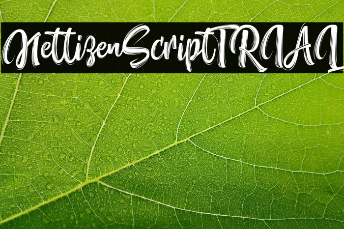 NettizenScript_TRIAL Example 2