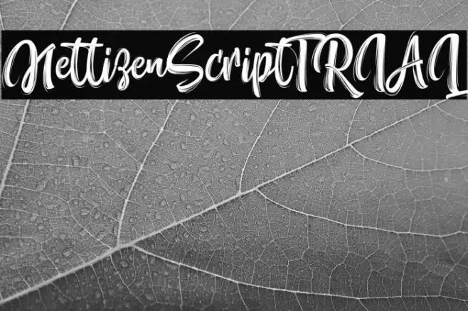 NettizenScript_TRIAL Font examples