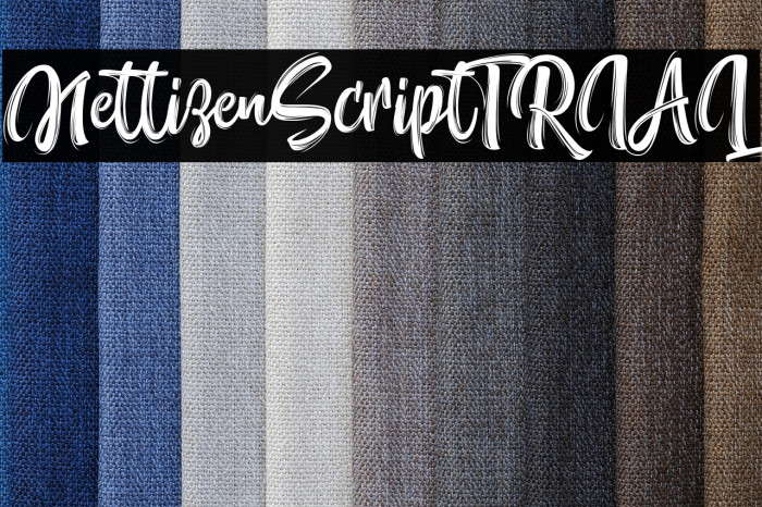 NettizenScript_TRIAL Example 3