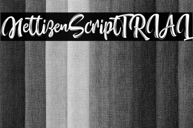NettizenScript_TRIAL Font examples