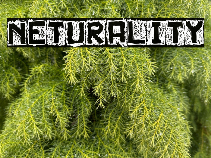 Neturality Example 2