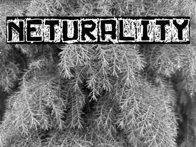 Neturality Example 2