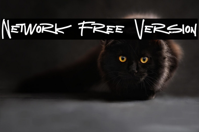 Network Free Version Example 1