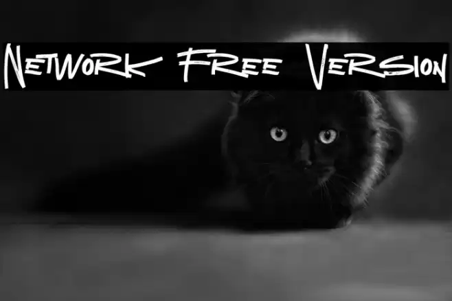 Network Free Version Font examples