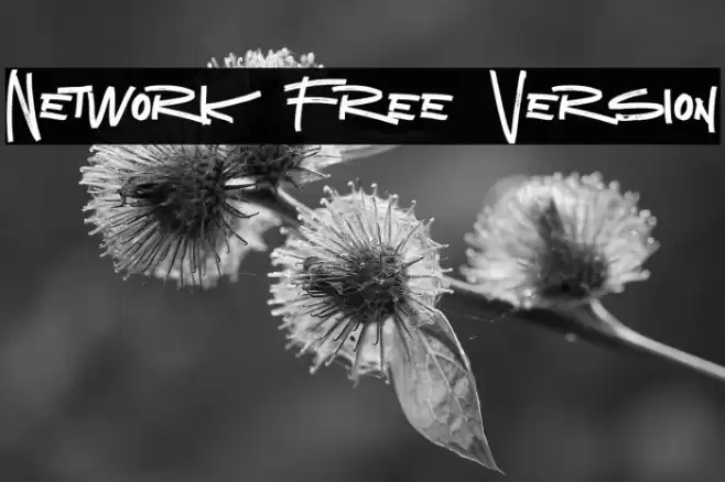 Network Free Version Font examples