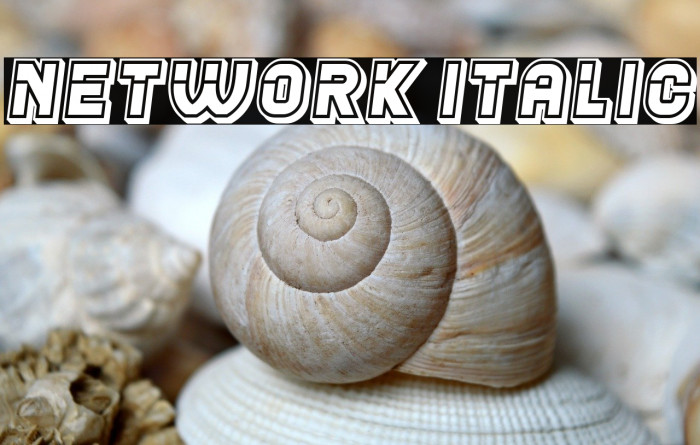 Network Italic Example 2