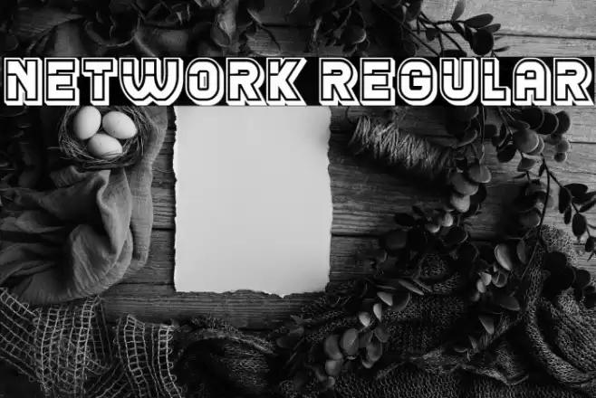 Network Regular Font - Free Download (TTF/OTF) | FFonts.net
