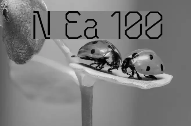 Neu Eichmass 100g Example 1