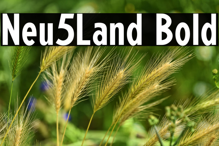 Neu5Land Bold Example 2