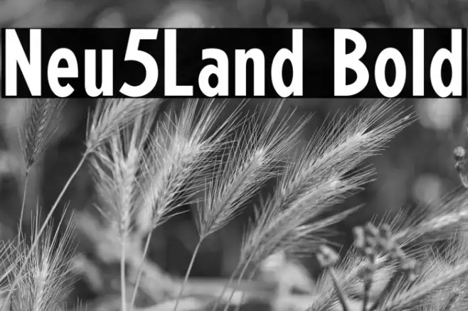 Neu5Land Bold Example 2