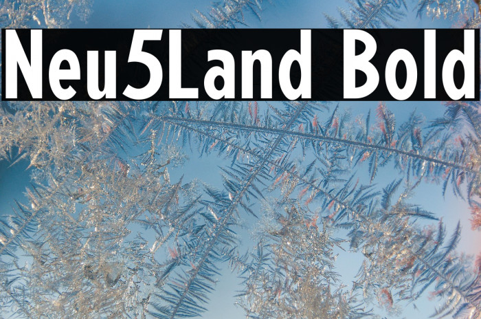 Neu5Land Bold Example 3