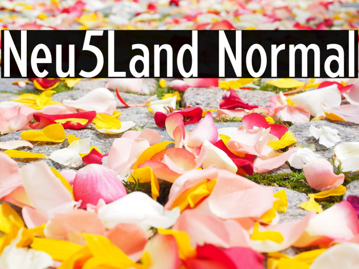 Neu5Land Normal Example 3