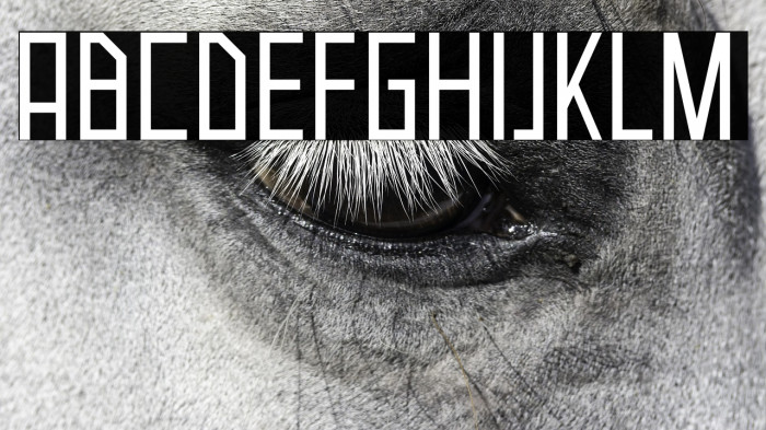 Neuborn Regular Example 2