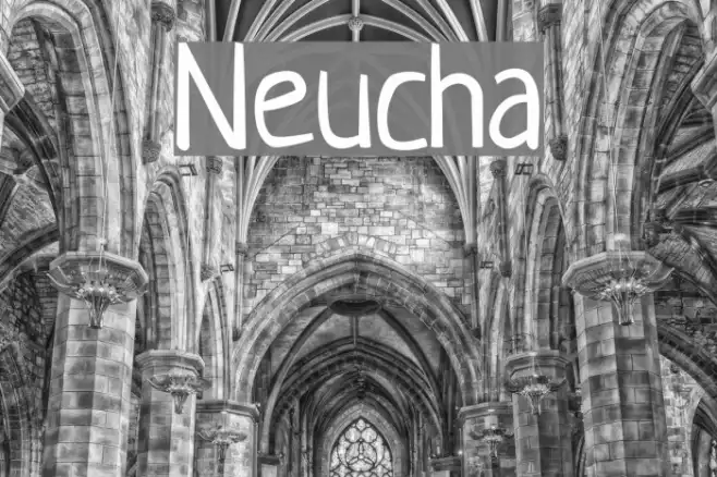 Neucha Example 1