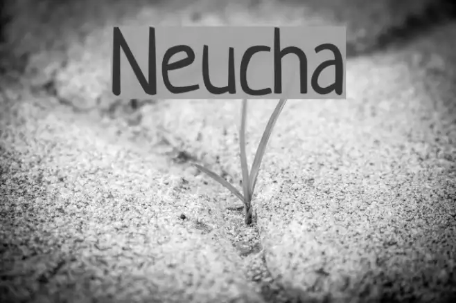Neucha Example 2