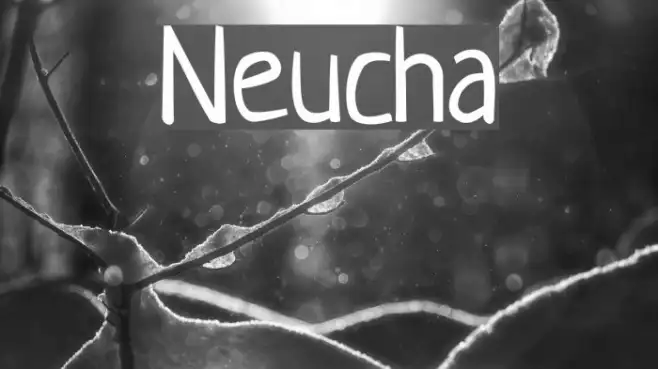 Neucha Example 3