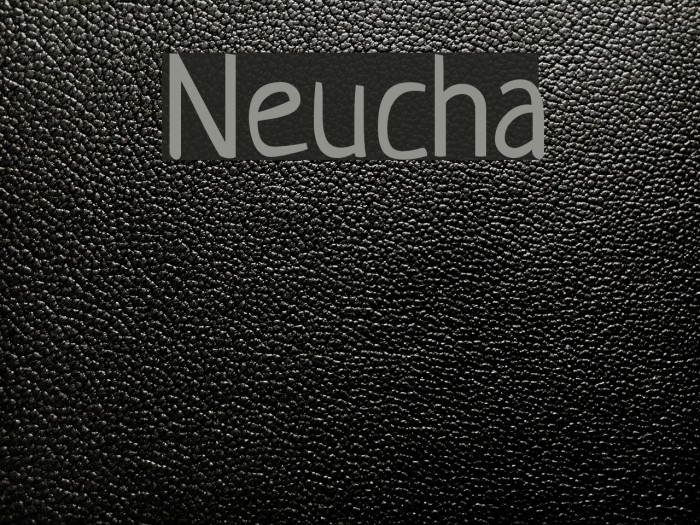 Neucha Font examples
