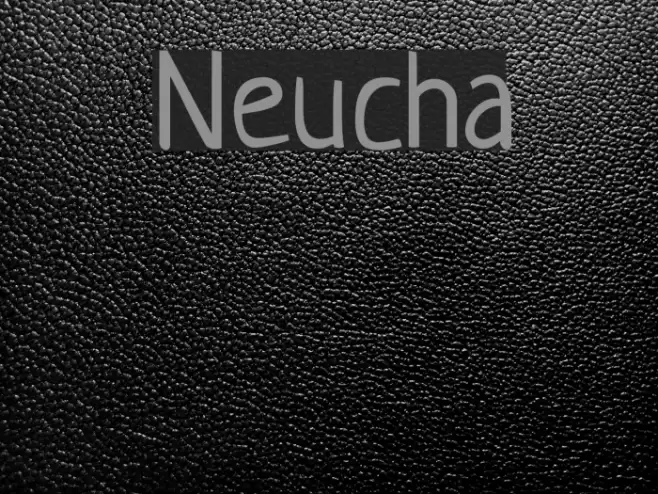 Neucha Font examples
