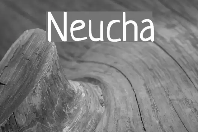 Neucha Font examples