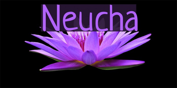 Neucha Font examples
