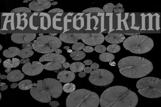 Neudeutsch Polices examples