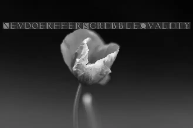 NeudoerfferScribbleQuality フォント examples