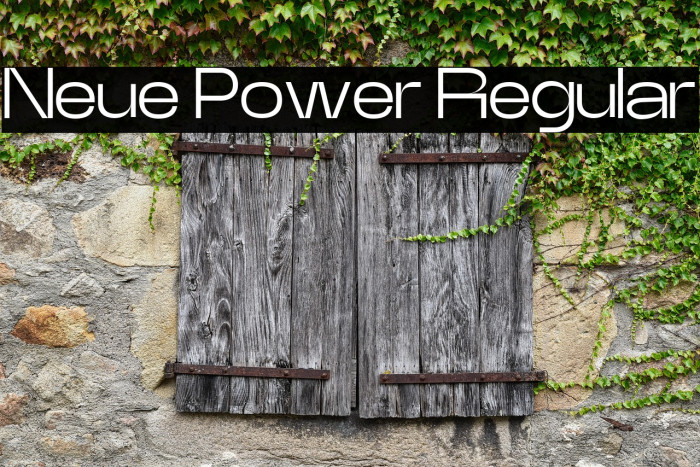 Neue Power Regular Example 1