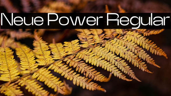 Neue Power Regular Example 2