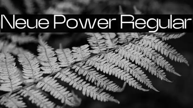 Neue Power Regular Шрифта examples