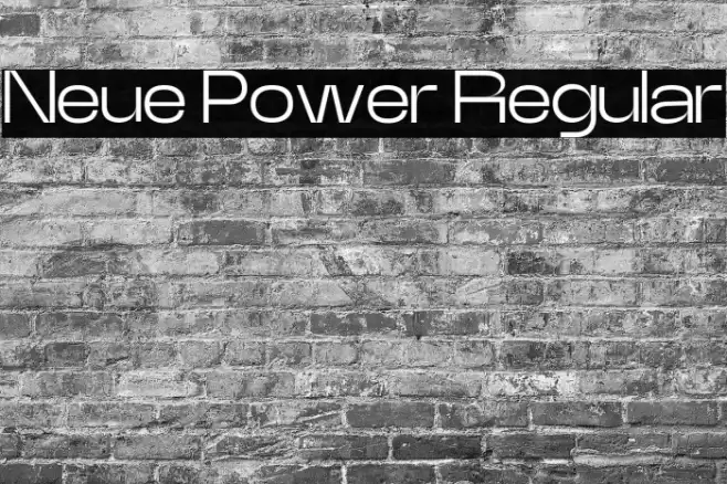 Neue Power Regular Шрифта examples
