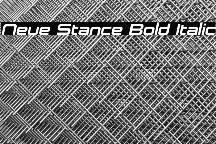 Neue Stance Bold Italic Example 1
