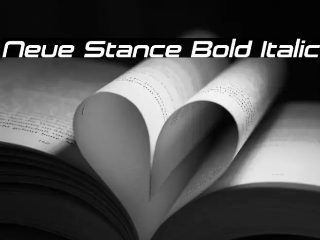 Neue Stance Bold Italic Example 2