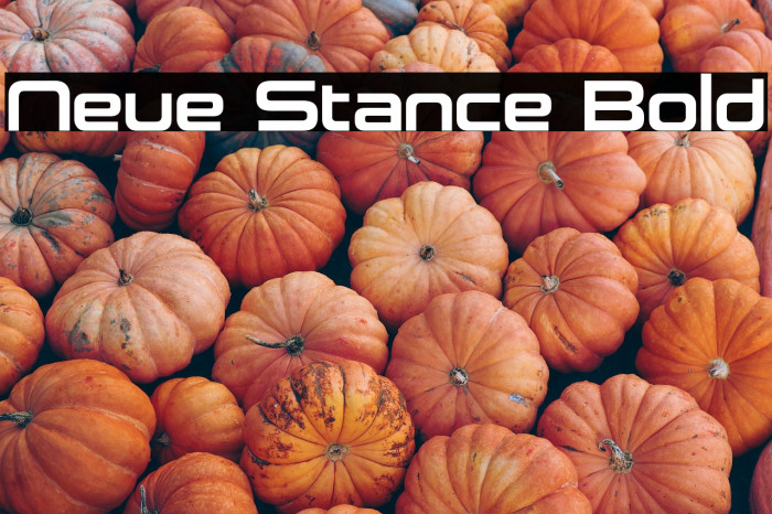 Neue Stance Bold Example 3