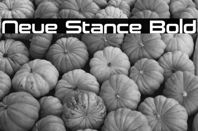 Neue Stance Bold Example 3