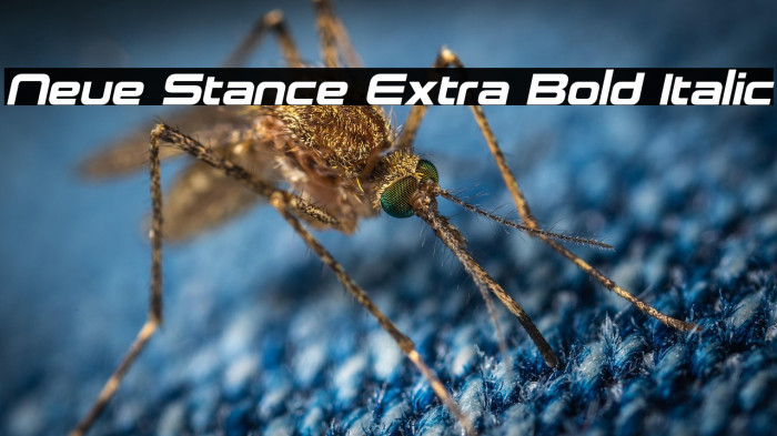 Neue Stance Extra Bold Italic Example 1