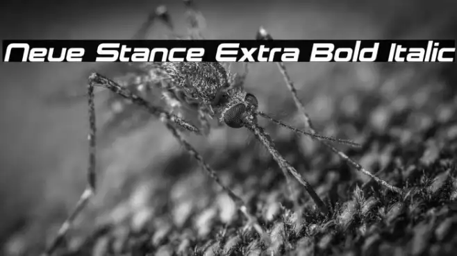 Neue Stance Extra Bold Italic Example 1