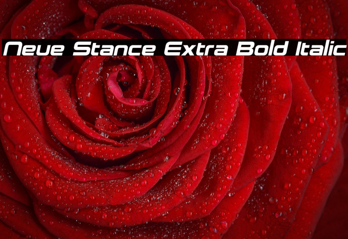 Neue Stance Extra Bold Italic Example 2