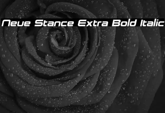 Neue Stance Extra Bold Italic Example 2