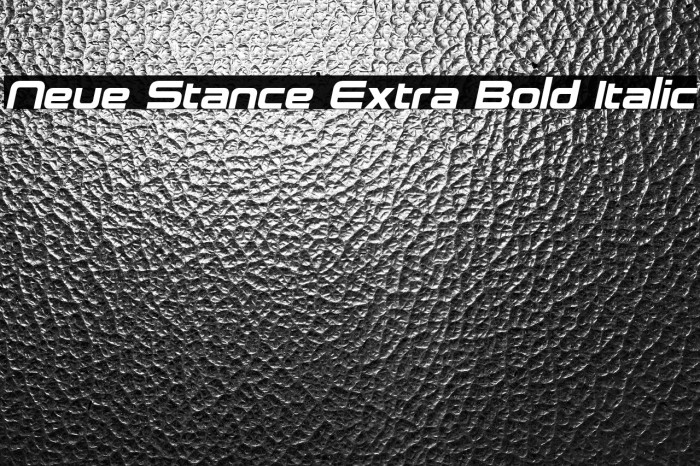 Neue Stance Extra Bold Italic Example 3