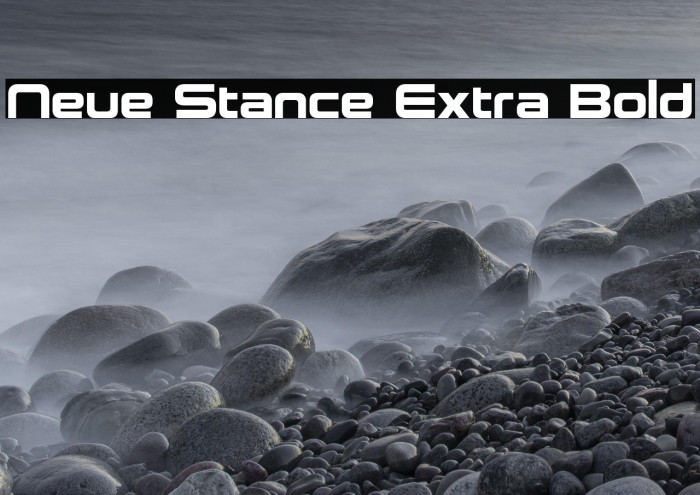 Neue Stance Extra Bold Example 3