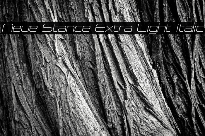 Neue Stance Extra Light Italic Example 2